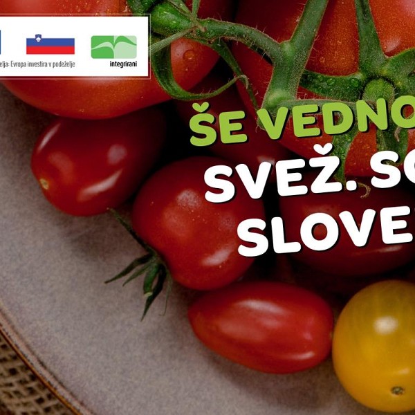 Kadrovske štipendije podjetja Paradajz d.o.o.